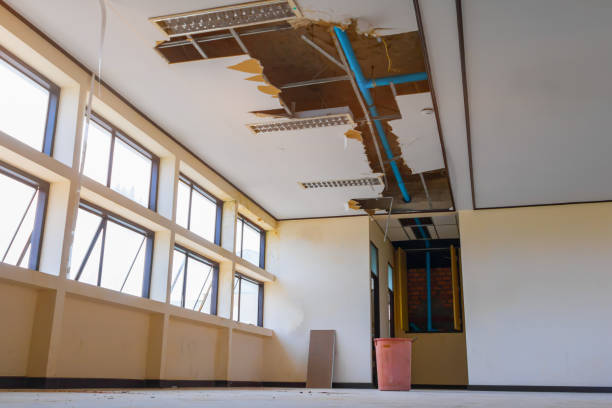 Best Sewage cleanup and water damage restoration  in Lula, GA