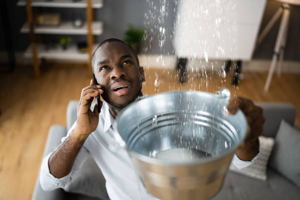 Best Emergency water extraction  in Lula, GA