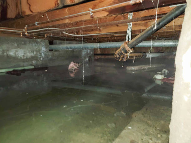 Best Flooded house restoration  in Lula, GA