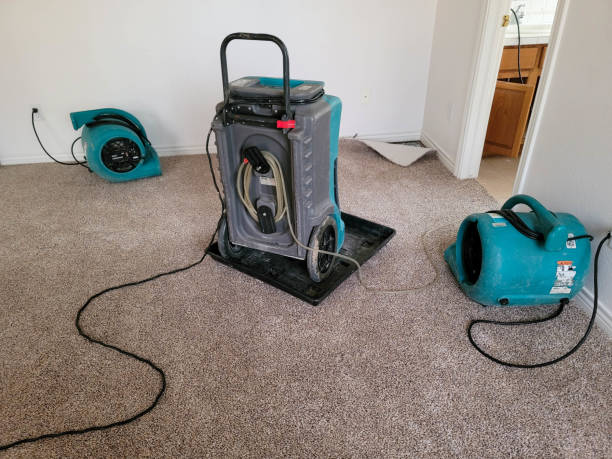 Best 24/7 water damage repair  in Lula, GA