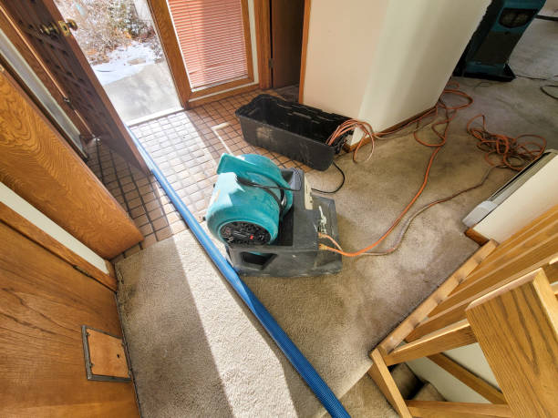 Best 24/7 water damage repair  in Lula, GA