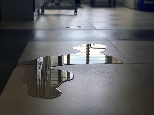 Best Professional water damage repair  in Lula, GA