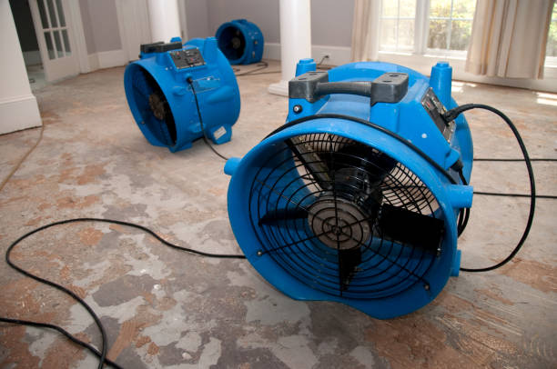 Best 24-hour water damage restoration  in Lula, GA