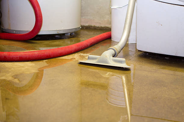 Best Flood damage cleanup  in Lula, GA