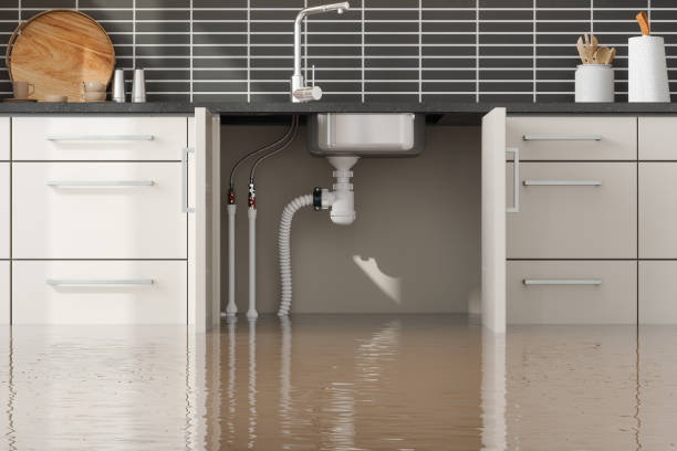 Best Local water damage restoration  in Lula, GA